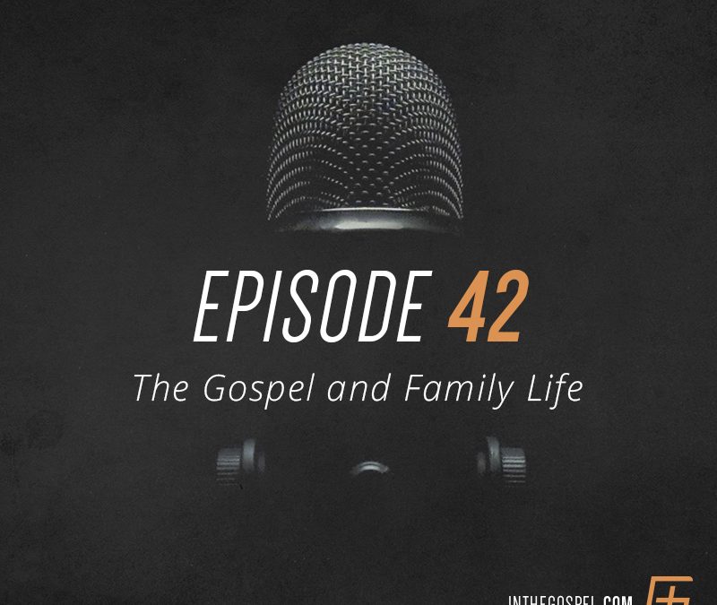Episode 42 – The Gospel and Family Life – Interview with Bob Lepine